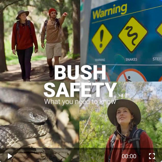 App content - Bush safety video