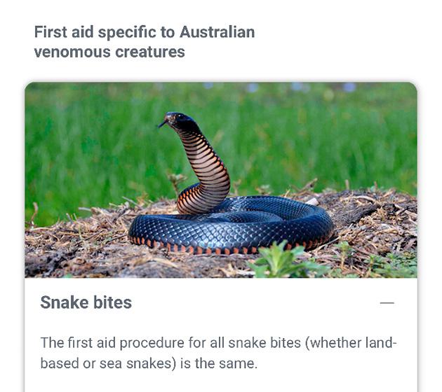 Snake